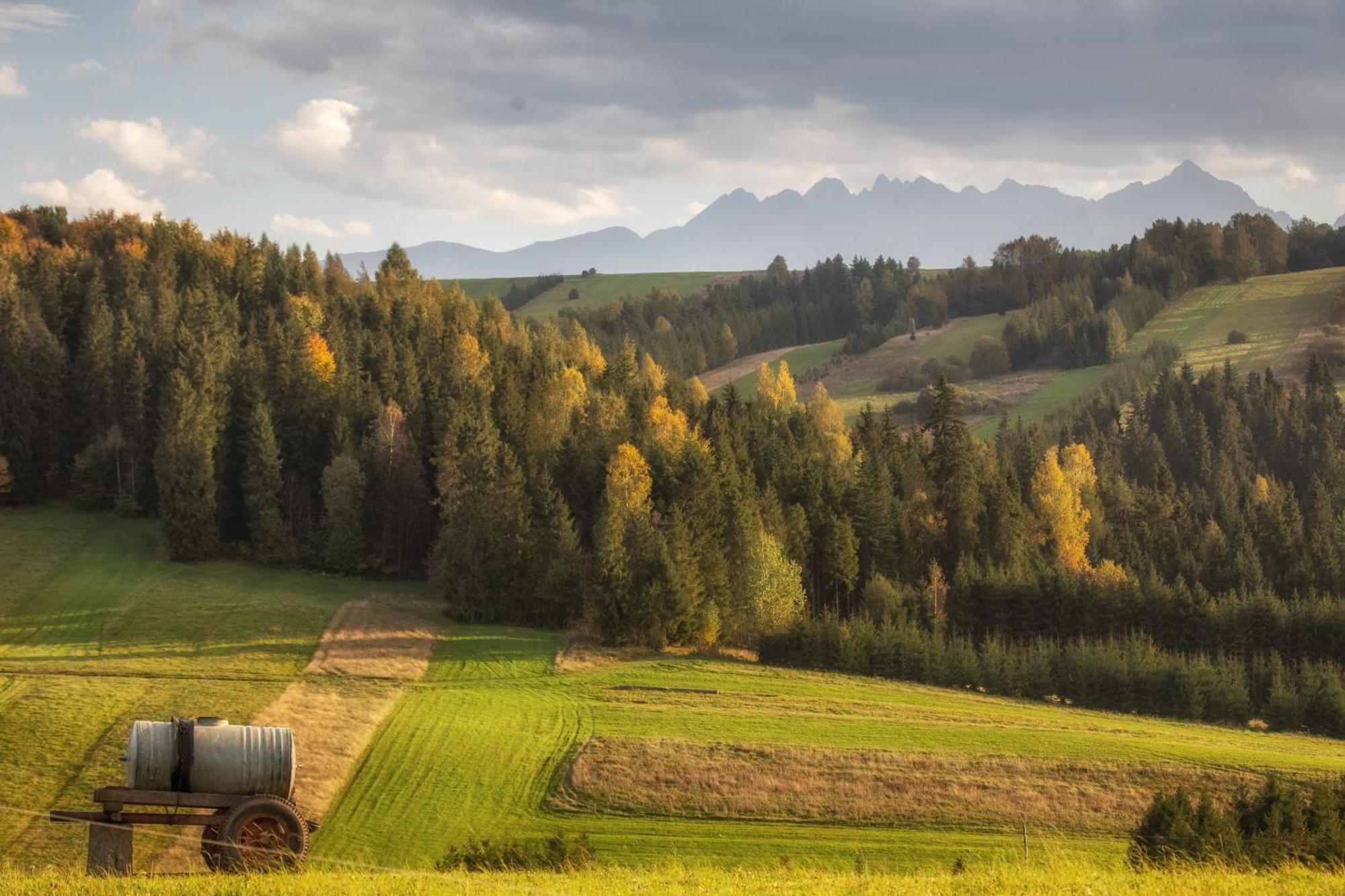 Forest Stodoly Krempachy Exterior foto