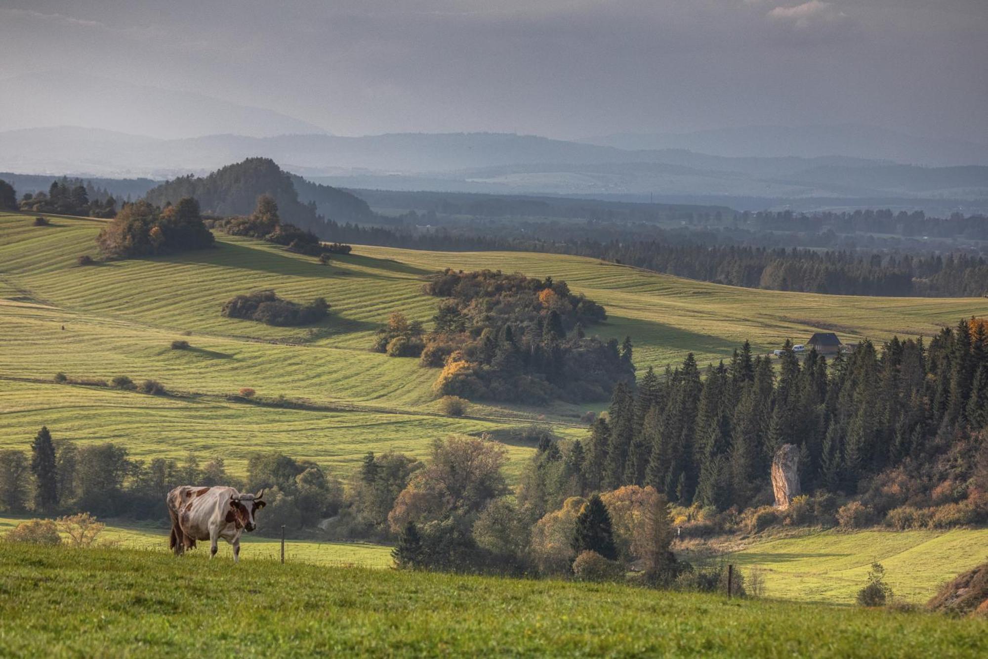 Forest Stodoly Krempachy Exterior foto
